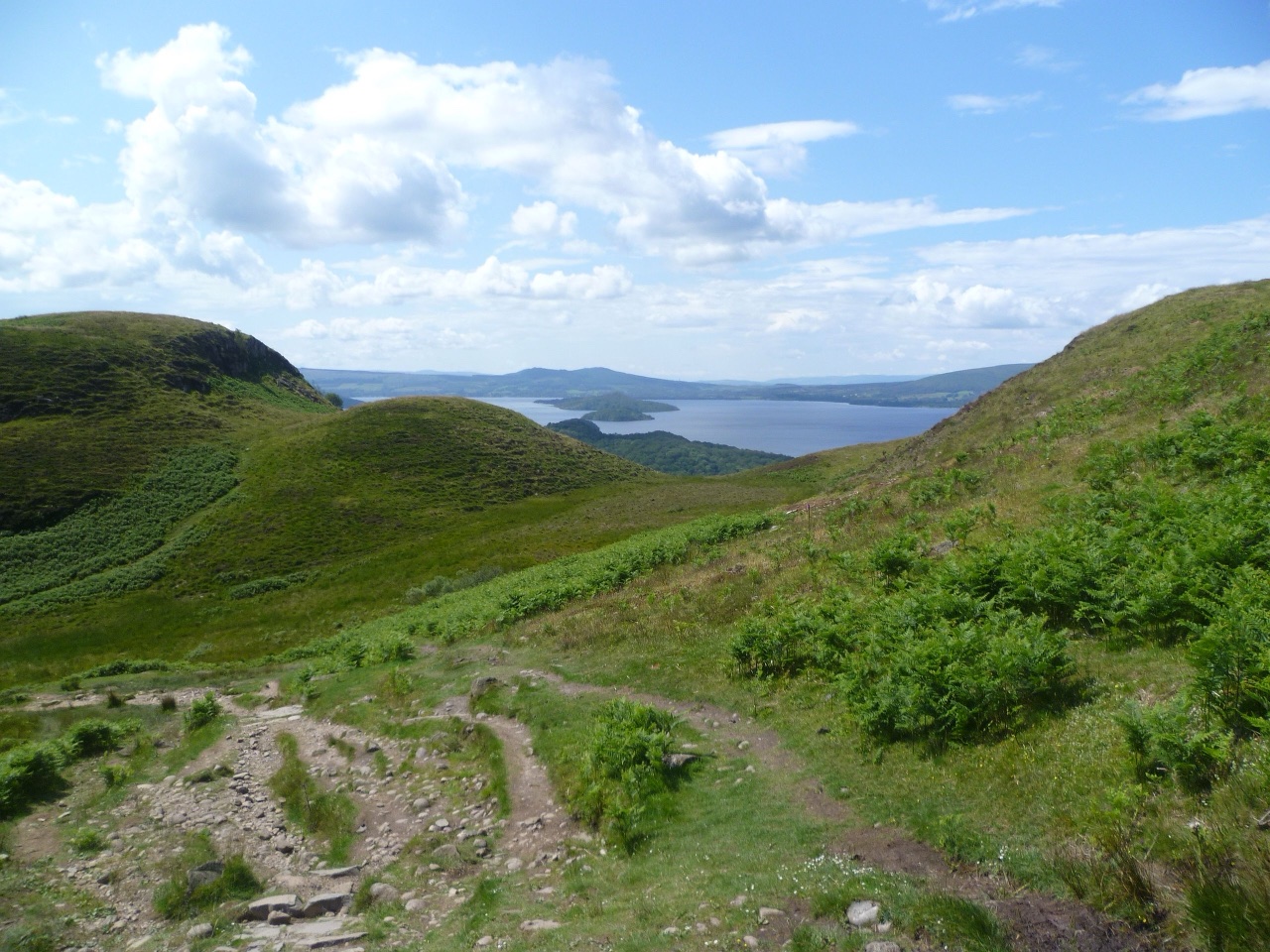 Rocky path descending Conic Hill toward Loch Lomond—typical open hillside terrain for walkers with dogs. No dog is shown.
