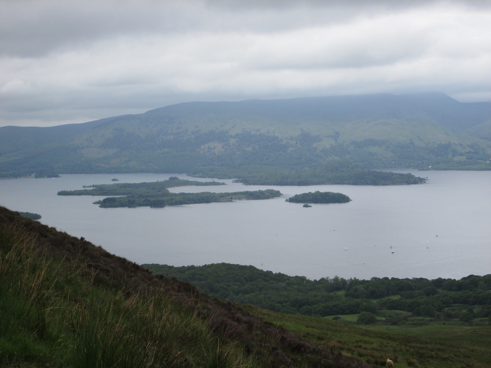 View across Loch Lomond’s wooded islands from the slopes of Conic Hill.